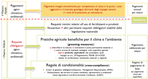 Schema del primo pilastro della PAC