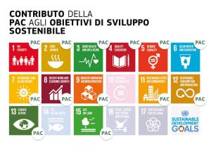 Grafico che rappresenta il contributo della PAC agli obiettivi di sviluppo sostenibile dell'Agenda 20230 dell'ONU