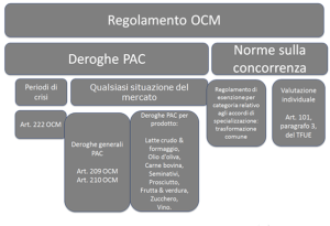 Grafico con il quadro delle norme sulla concorrenza e delle deroghe in agricoltura (PAC)