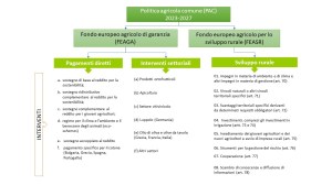Interventi contenuti nei PSN della PAC di tutti gli Stati membri dell’Unione europea